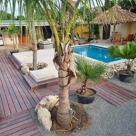 Aruba Seascape Apartments